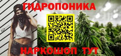индика Севастополь