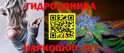 индика Севастополь