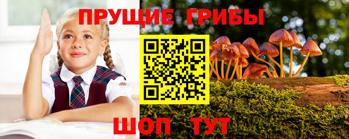 Можайск  Псилоцибиновые грибы Magic Shrooms  Вход с VPN 